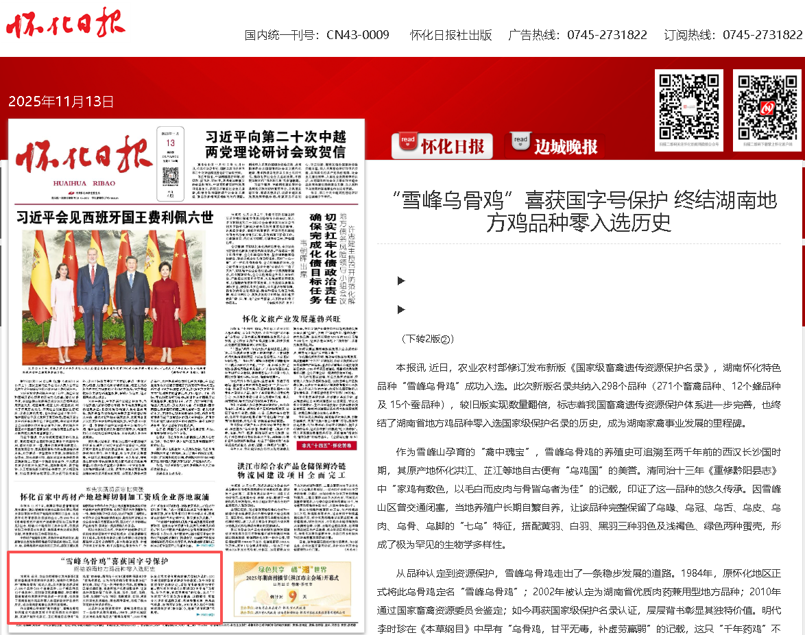 乌骨鸡.png