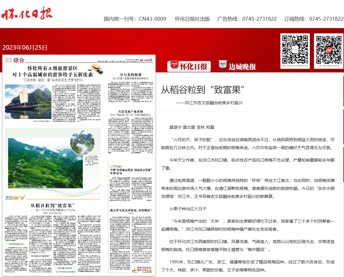 致富果.png