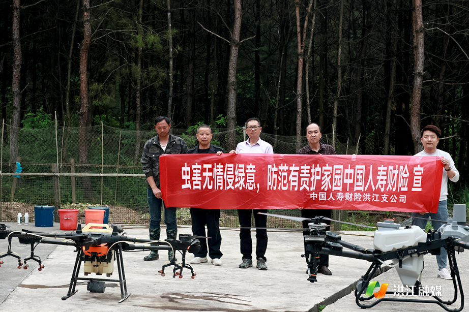 市林业局0.png