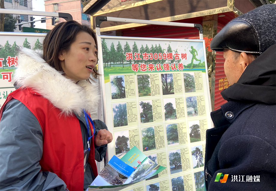市林业局3.png