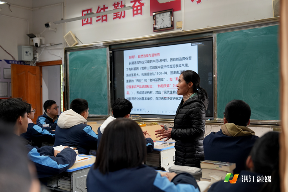 向春光3.jpg