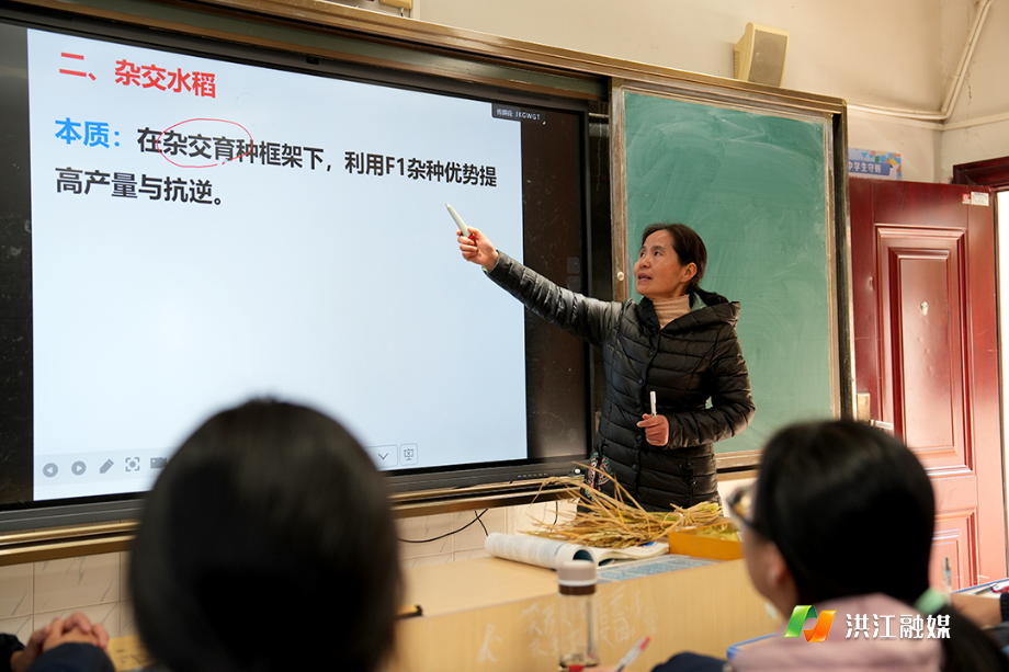 向春光.jpg
